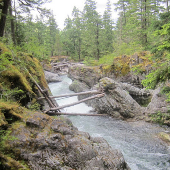 Meet your Posher, Lynn - Picture 1 of 1